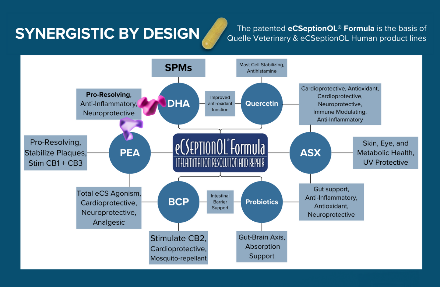 Polvo de apoyo para la resolución de la inflamación eCSeptionOL
