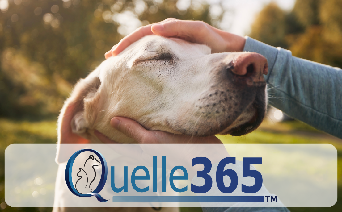 Canine Supplements